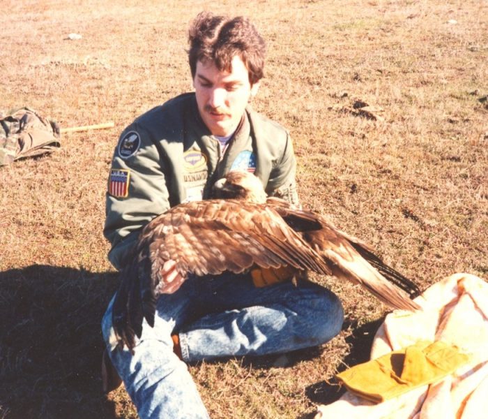 Golden Eagle rescue 1988