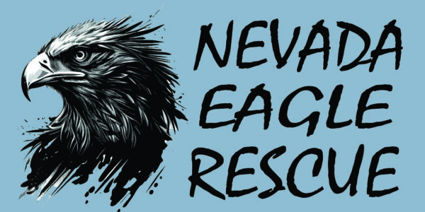 NER eagle head logo 6-2025grey